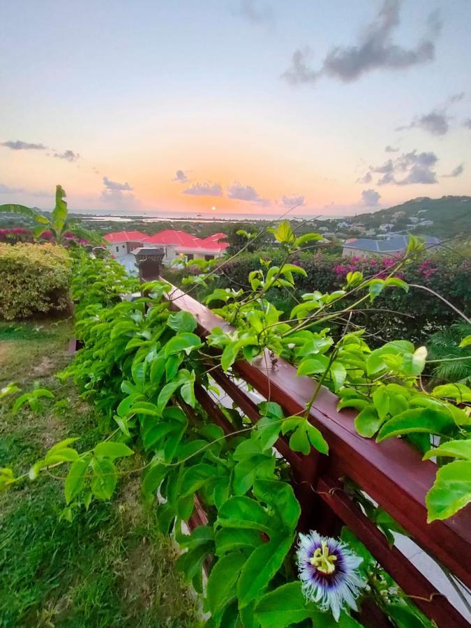 Holiday Home Belvedere Дикенсон-Бей Экстерьер фото